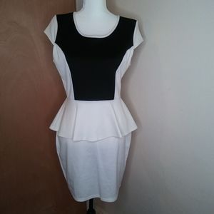 NWOT Mandee Dress